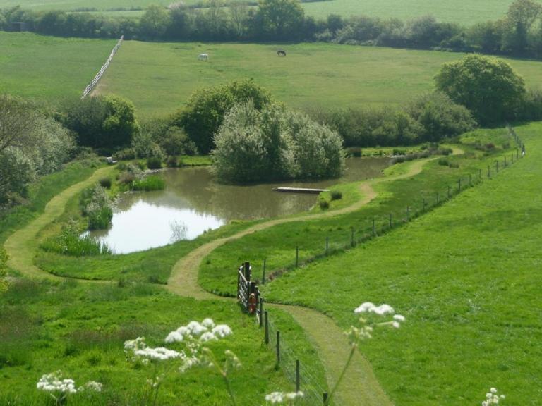 Whiteways Farmhouse Buckland Newton Bagian luar foto