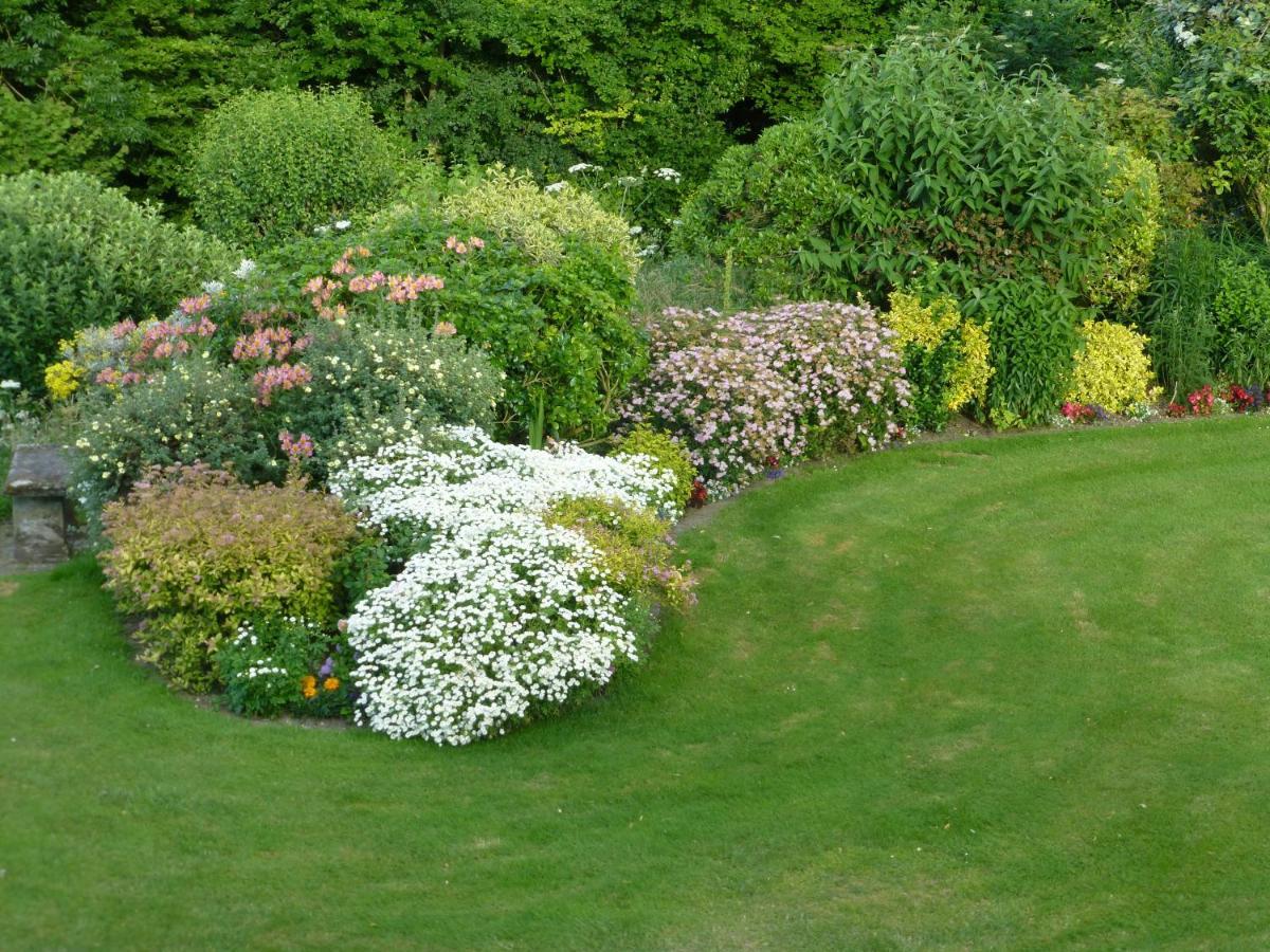 Whiteways Farmhouse Buckland Newton Bagian luar foto