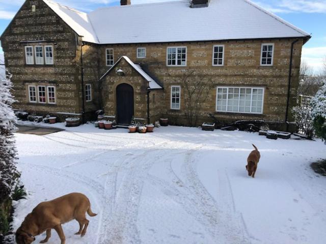 Whiteways Farmhouse Buckland Newton Bagian luar foto